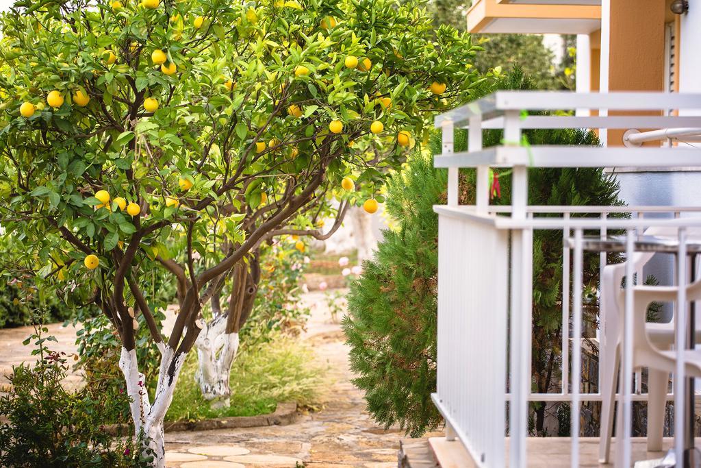 Primavera Paradise Apartments Ágios Nikólaos Exteriér fotografie